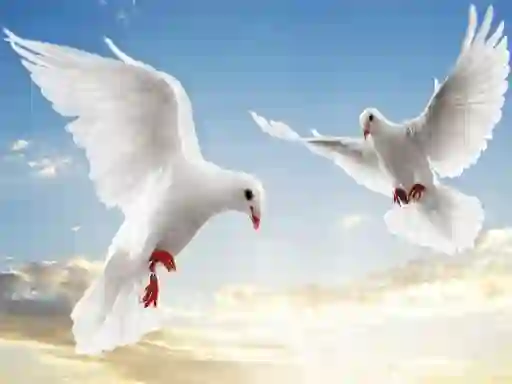 Игра Flying Birds онлайн