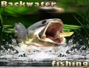 Игра Backwater Fishing онлайн