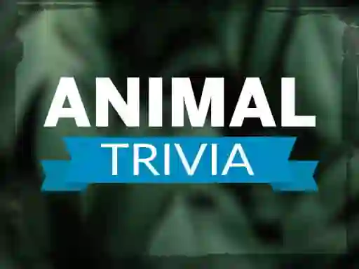 Игра Animal Trivia онлайн