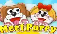 Игра Meet Puppy онлайн