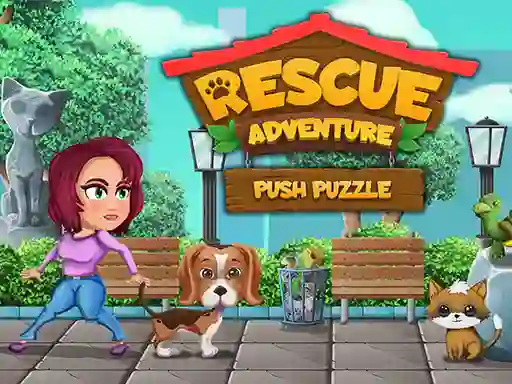 Игра Rescue Adventure Push Puzzle онлайн