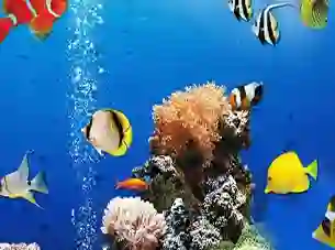 Игра Sea Underwater Difference онлайн