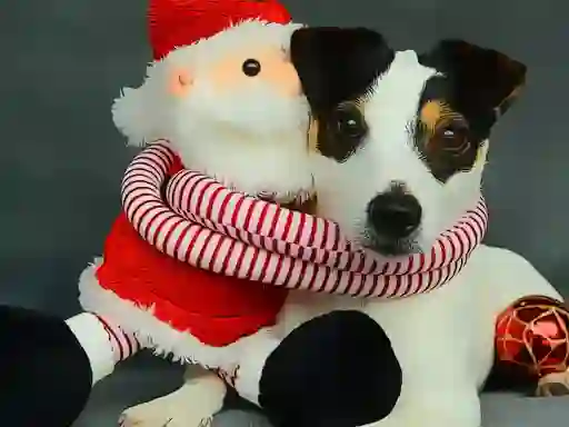 Игра Funny Christmas Dogs онлайн