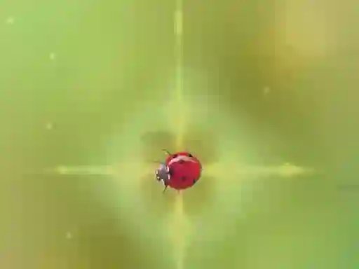 Игра Pest Control онлайн