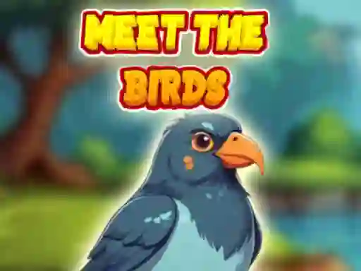Игра Meet The Birds онлайн
