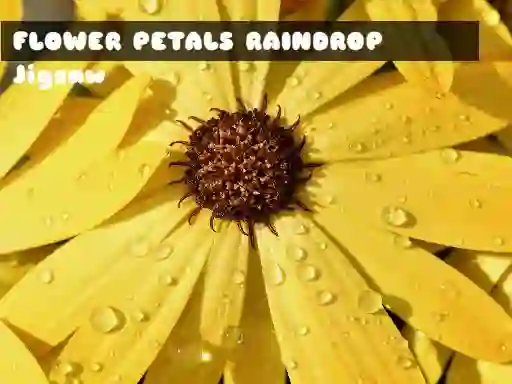 Игра Flower Petals Raindrop Jigsaw онлайн