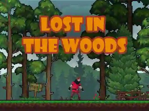 Игра Lost in the Woods онлайн