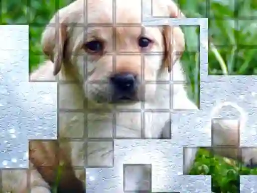 Игра PicPu Dog онлайн