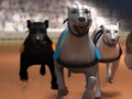 Игра Собачьи бега онлайн