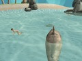 Игра Симулятор акулы: Пляжный убийца онлайн