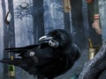 Игра Чужие страшные дома онлайн