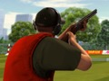 Игра Мишень: Сигнал и выстрел онлайн