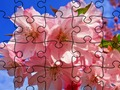 Игра Загадочные пазлы: Цветы онлайн
