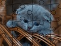 Игра Пазл: Кошки онлайн