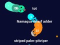 Игра Кривые онлайн