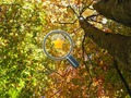Игра Скрытые Золотые Звезды онлайн