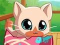 Игра Домашнее животное: любимая кошка онлайн