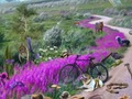 Игра Исчезающий след онлайн
