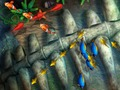 Игра Рыбалка короля онлайн