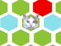 Игра Заманите кошку в ловушку онлайн