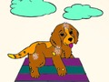 Игра Книжка-раскраска домашних животных онлайн