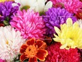 Игра Загадка дня матери 2019 года онлайн