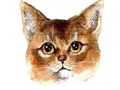 Игра Абиссинская кошка пазл онлайн