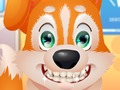 Игра Милый щенок у стоматолога онлайн