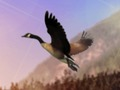 Игра Охотник на уток онлайн