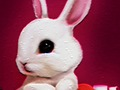 Игра Назад в школу: Книжка раскраска кролика онлайн