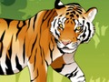 Игра Сердитый тигр: Раскраска онлайн