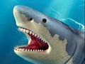 Игра Охота на акул онлайн