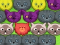 Игра Удар по котикам онлайн