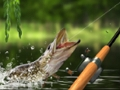 Игра Утренний улов онлайн