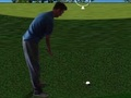 Игра Флеш Гольф 3D онлайн