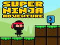 Игра Приключения супер ниндзя онлайн