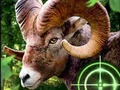 Игра Сумасшедший охотник за козами 2020 онлайн