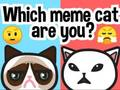 Игра Какой ты мем-кот? онлайн
