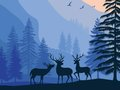 Игра Пейзажный рай: Скрытые обьекты онлайн