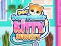 Игра Доктор Хани Берри: Кошачья хирургия онлайн