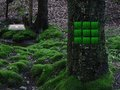 Игра Побег влюбленного голубя из ловушки онлайн
