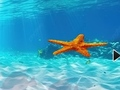 Игра Побег от подводной морской звезды онлайн