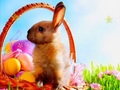 Игра Пасхальное время: Скрытые звезды онлайн