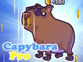 Игра Капибара Про онлайн