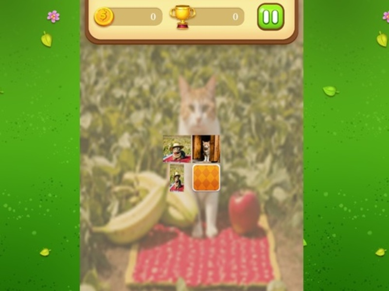 Игра Фермерский кот: Матч  памяти онлайн
