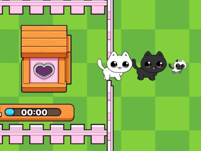 Игра Мои кошечки. Мир кошек онлайн